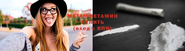 шишки Покачи