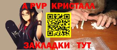 шишки Дубна