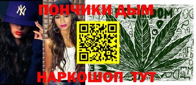 шишки Дубна