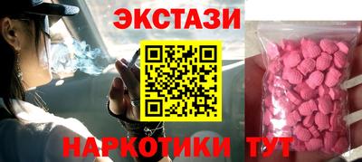 шишки Дубна