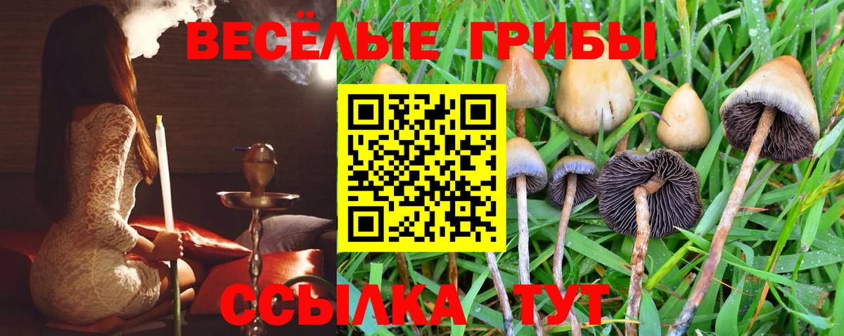 Лянтор  Галлюциногенные грибы GOLDEN TEACHER  наркотики  Вход с VPN 
