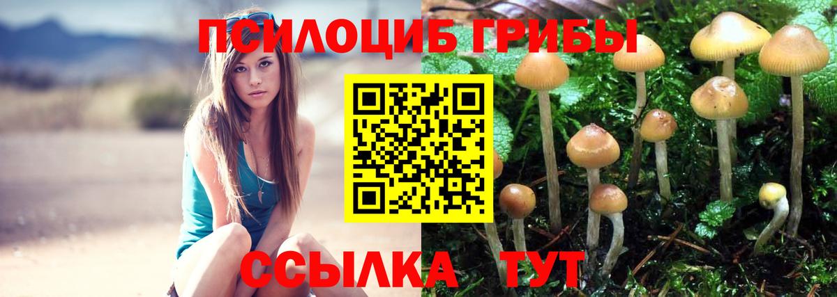 Галлюциногенные грибы мухоморы Лянтор